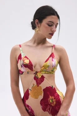 Sale Cult Gaia Dari Gown Painted Floral